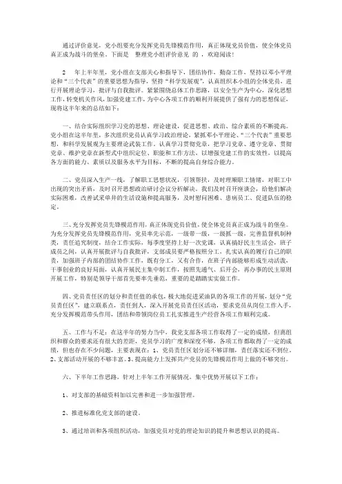 党小组评价意见范文