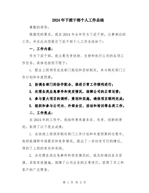 2024年下派干部个人工作总结