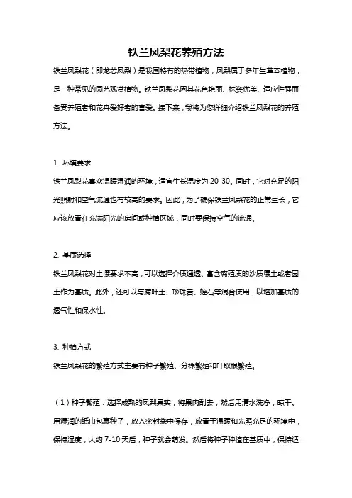 铁兰凤梨花养殖方法