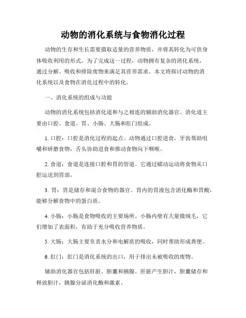 动物的消化系统与食物消化过程