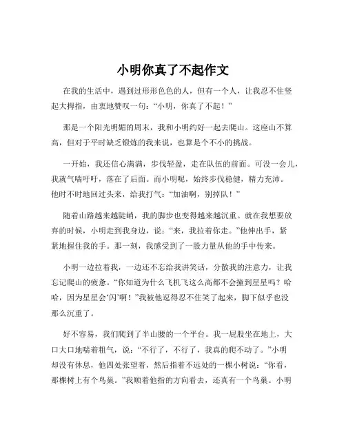 小明你真了不起作文