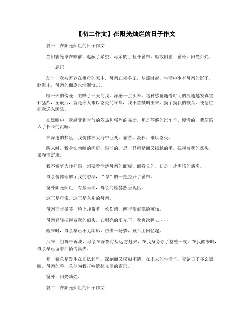 【初二作文】在阳光灿烂的日子作文