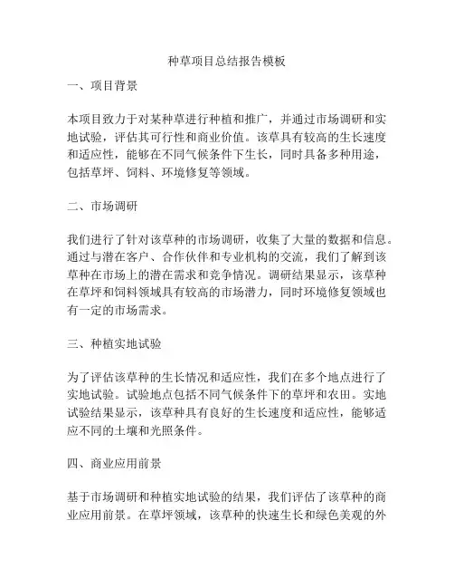 种草项目总结报告模板