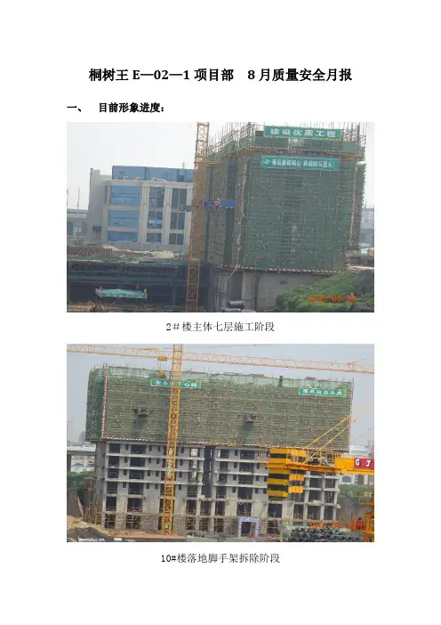质量安全月报模板