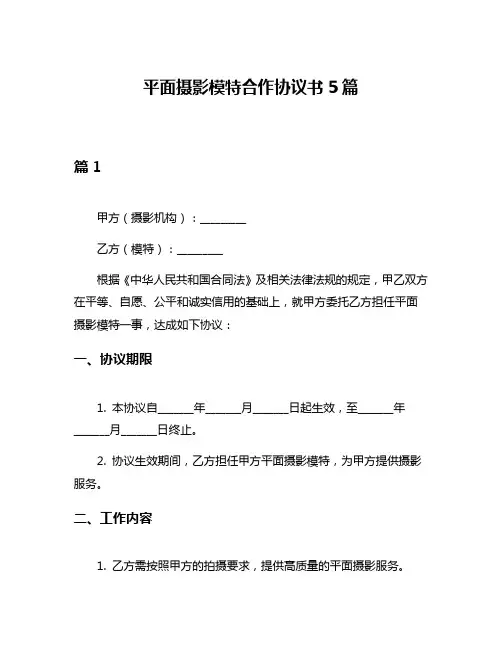 平面摄影模特合作协议书5篇
