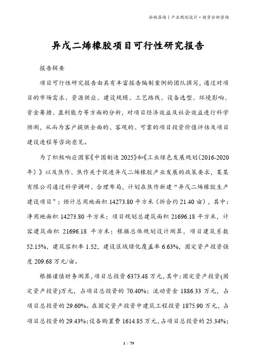 异戊二烯橡胶项目可行性研究报告
