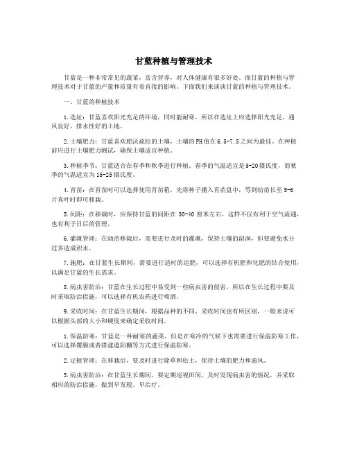 甘蓝种植与管理技术