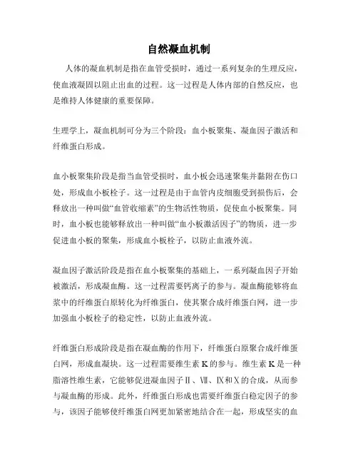 自然凝血机制