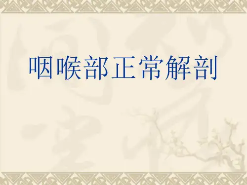 咽喉部正常解剖