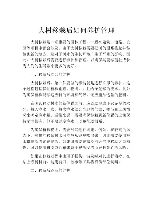 大树移栽后如何养护管理