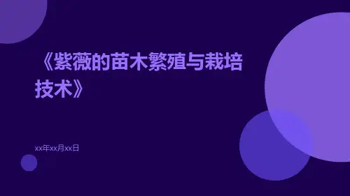 紫薇的苗木繁殖与栽培技术