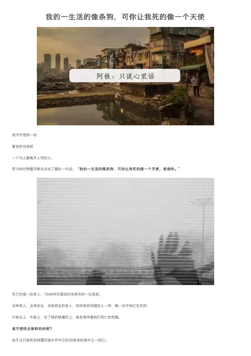 我的一生活的像条狗，可你让我死的像一个天使