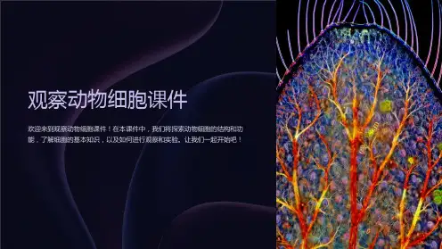 观察动物细胞课件