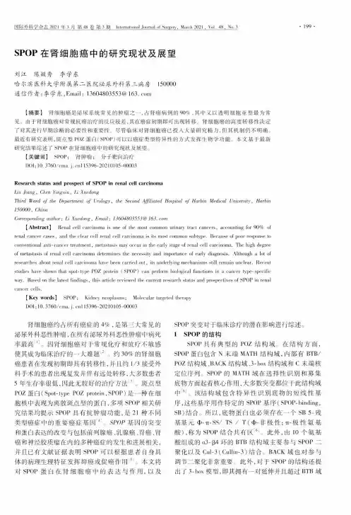 SPOP在肾细胞癌中的研究现状及展望