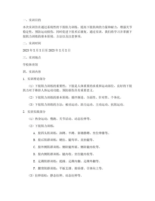 肌力训练下肢实训报告