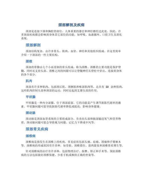 颈部解剖及疾病