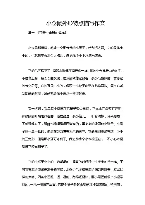 小仓鼠外形特点描写作文