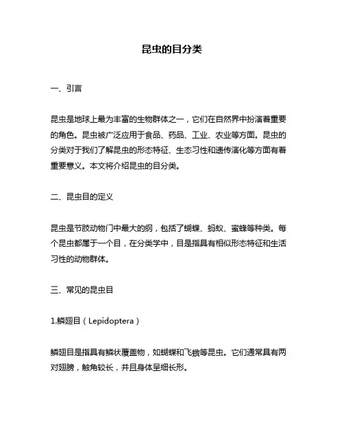 昆虫的目分类