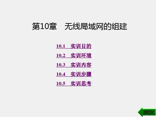 《计算机网络工程实训》课件第10章