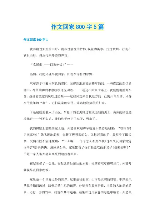 作文回家800字5篇