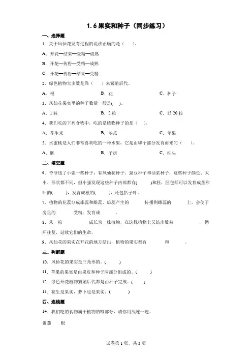 小学科学试题：科学 四年级下册  果实和种子 同步练习 (含答案)