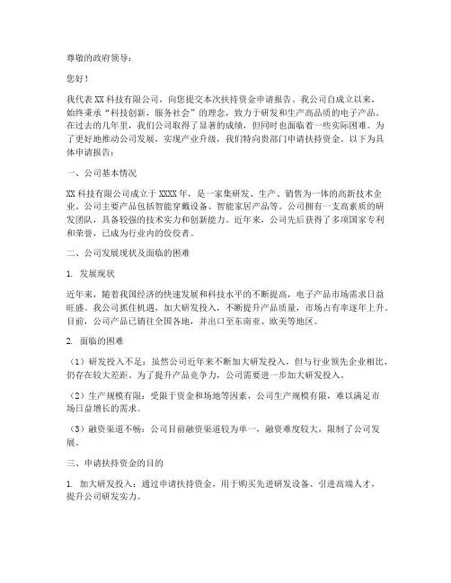 扶持资金申请报告