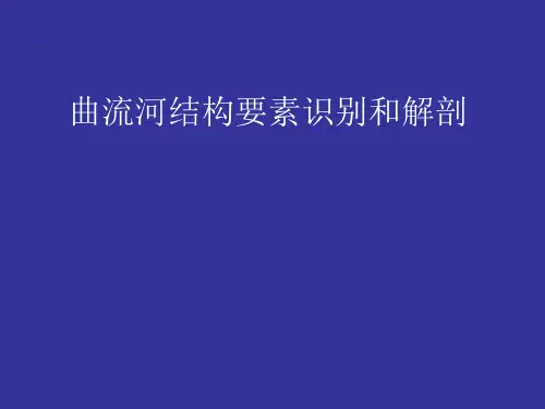 河流储层建筑结构