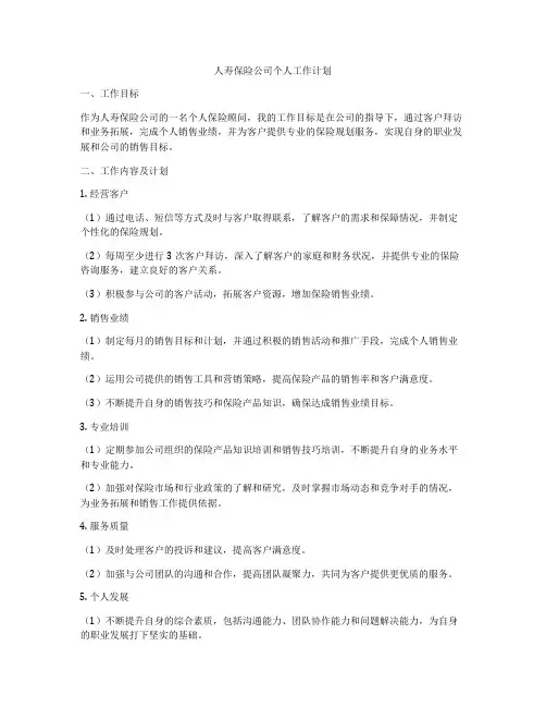 人寿保险公司个人工作计划