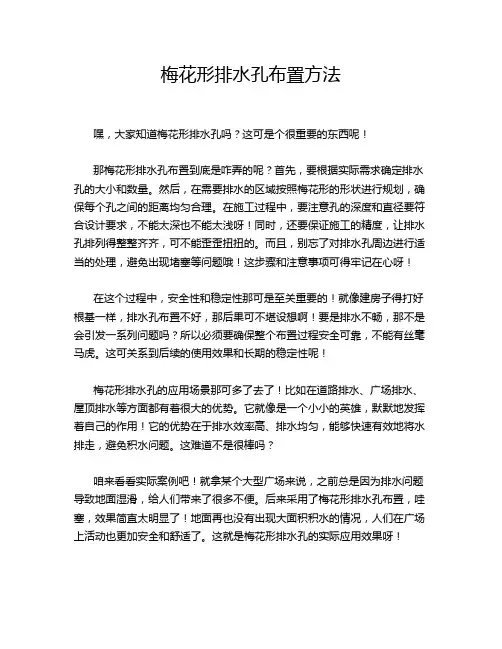 梅花形排水孔布置方法