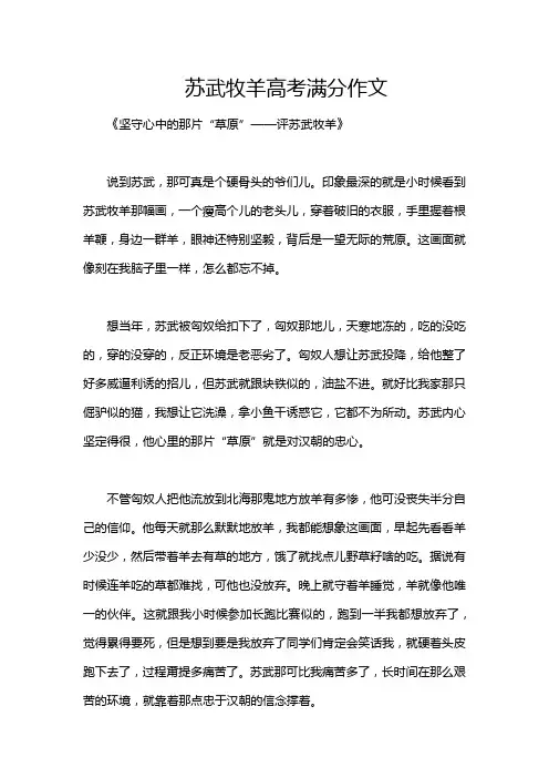 苏武牧羊高考满分作文