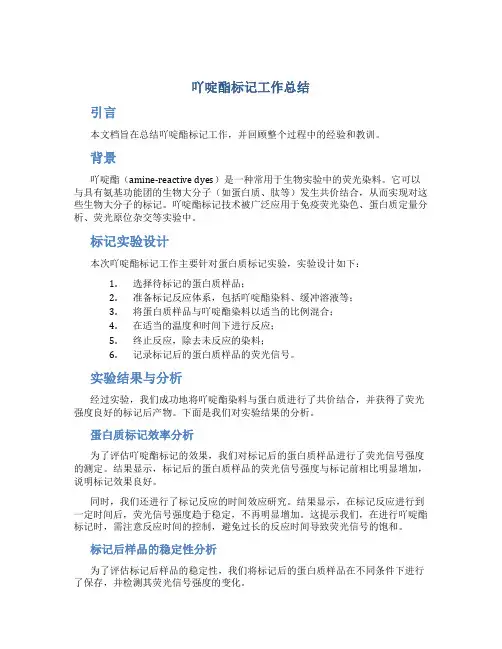 吖啶酯标记工作总结