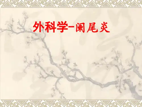 阑尾炎PPT课件
