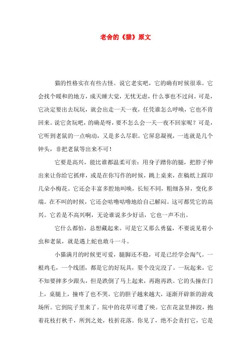 老舍的《猫》原文