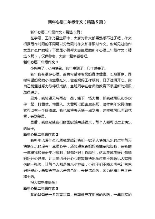 新年心愿二年级作文（精选5篇）