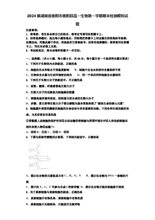 2024届湖南省衡阳市衡阳县高一生物第一学期期末检测模拟试题含解析