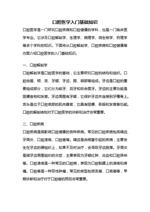 口腔医学入门基础知识