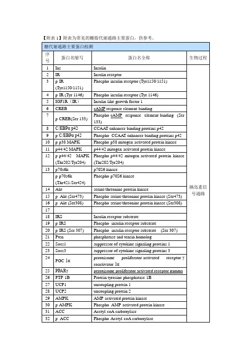常见的糖脂代谢通路主要蛋白