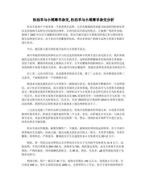杜泊羊与小尾寒羊杂交,杜泊羊与小尾寒羊杂交分析
