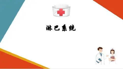 淋巴系统(人体解剖学课件)