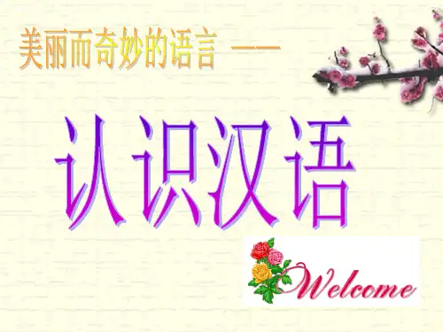 美丽而奇妙的语言PPT