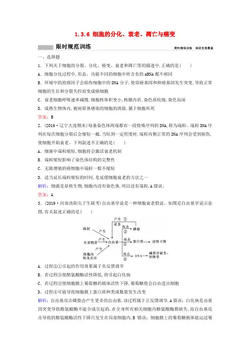 新课标2020高考生物二轮总复习专题三细胞的生命历程1.3.6细胞的分化、衰老、凋亡与癌变专题限时训练