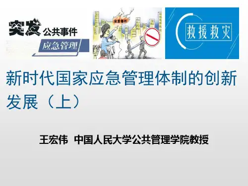 新时代国家应急管理体制的创新发展(上)-王宏伟.ppt
