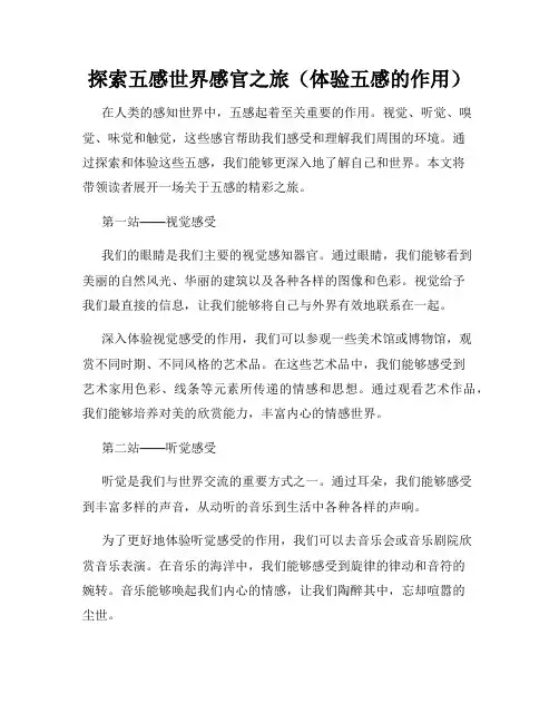 探索五感世界感官之旅(体验五感的作用)