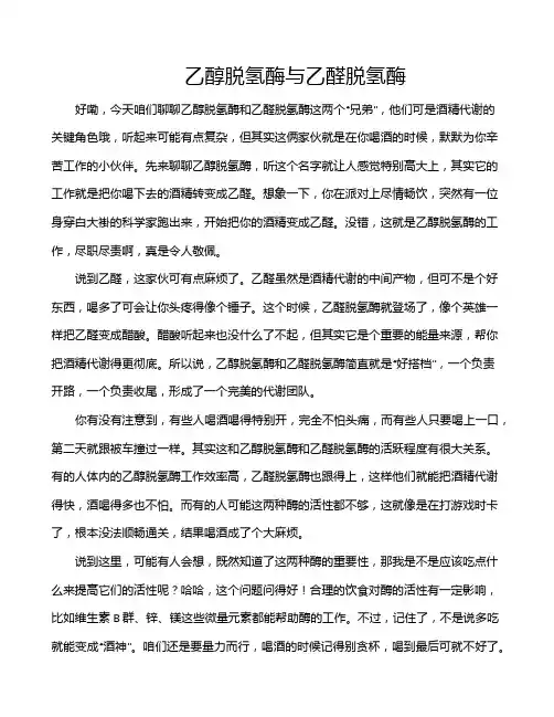 乙醇脱氢酶与乙醛脱氢酶