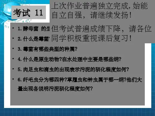 《环境工程微生物》PPT课件