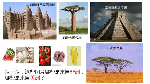 古代非洲与美洲ppt课件