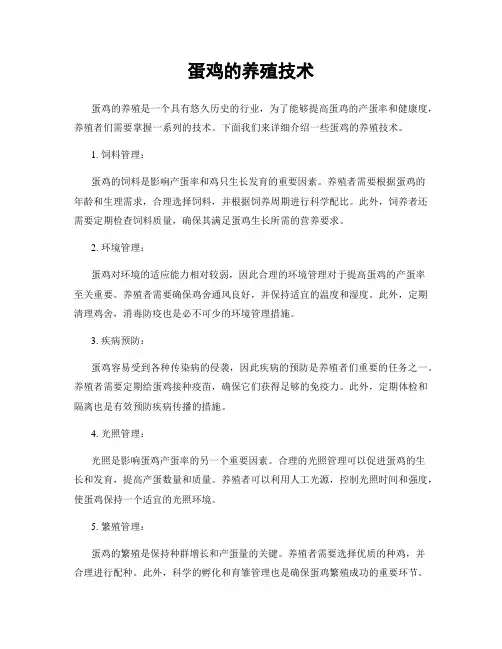 蛋鸡的养殖技术