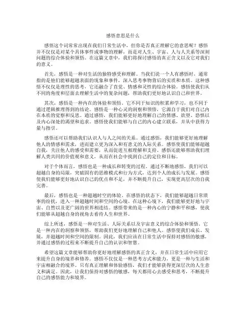 感悟意思是什么
