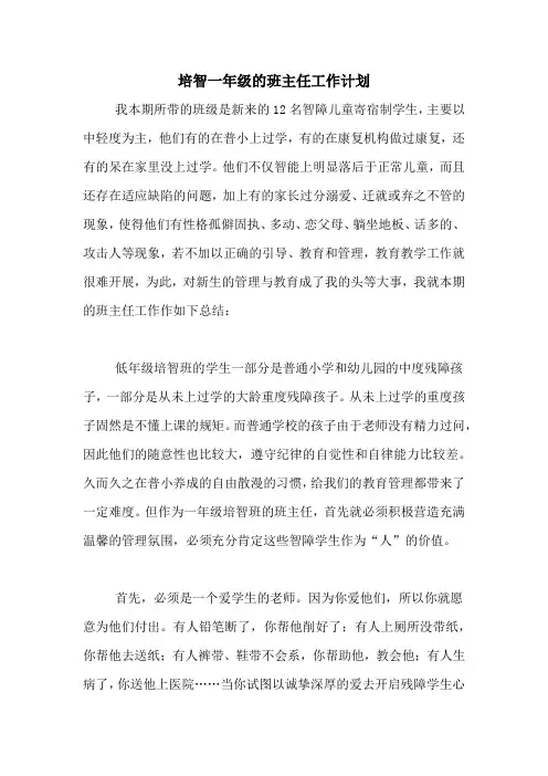 2020年培智一年级的班主任工作计划