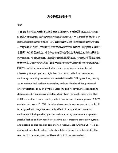 钠冷快堆的安全性